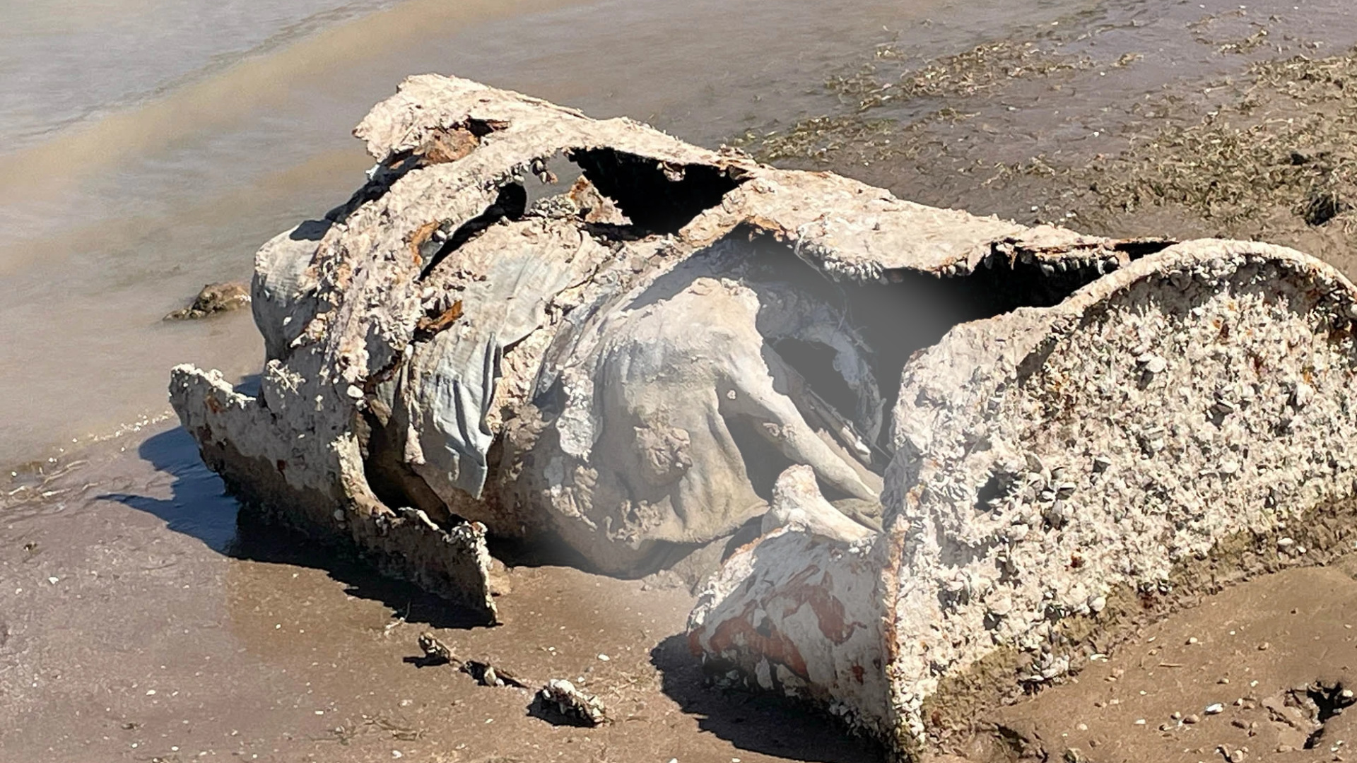 Body Found In Nevada’s Lake Mead May Date Back To The Mob Days Of The ...